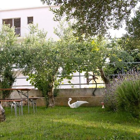 Pepi Apartments 1 Задар Екстериор снимка